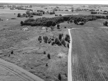 Zdjęcie 15162889
