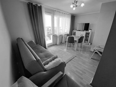 Zdjęcie 15162953