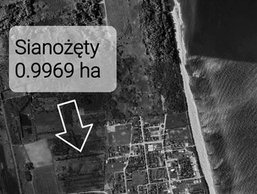 Zdjęcie 15162965