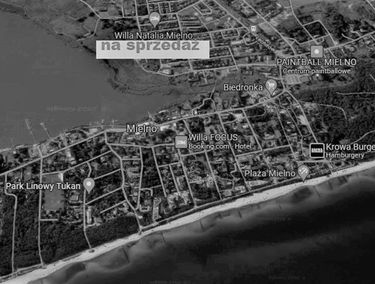 Zdjęcie 15162973