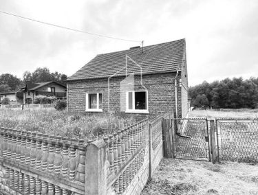 Zdjęcie 15163061