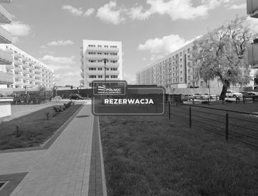 Zdjęcie 15163206