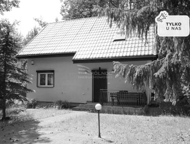 Zdjęcie 15163226