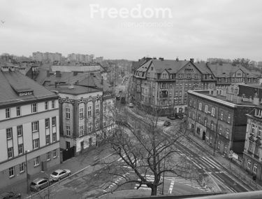 Zdjęcie 15163340