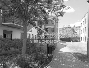 Zdjęcie 15163374