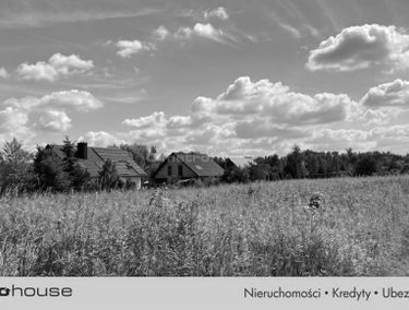 Zdjęcie 15163500