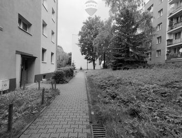 Zdjęcie 15163877