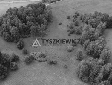 Zdjęcie 15164005