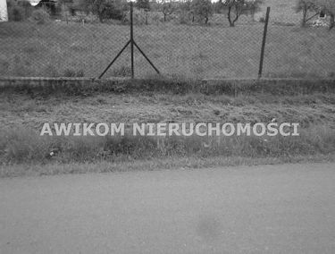 Zdjęcie 15164013