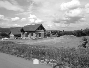 Zdjęcie 15164043