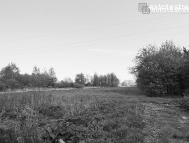 Zdjęcie 15164065