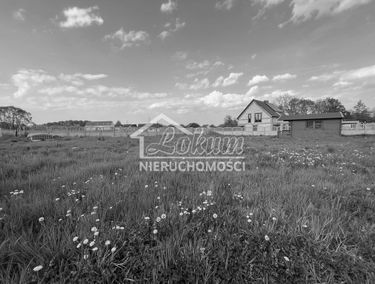 Zdjęcie 15164793