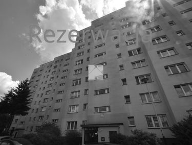Zdjęcie 15164868
