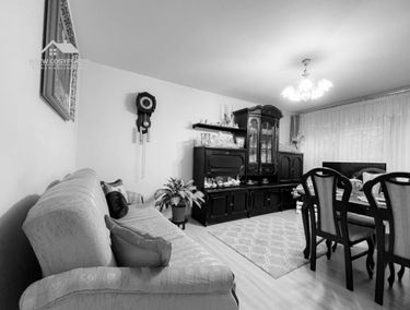 Zdjęcie 15165046