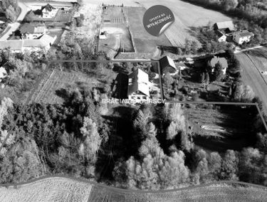 Zdjęcie 15166271