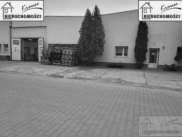 Zdjęcie 15166580