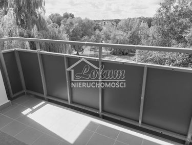 Zdjęcie 15167012