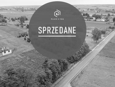 Zdjęcie 15167140