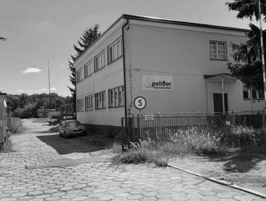 Zdjęcie 15167233
