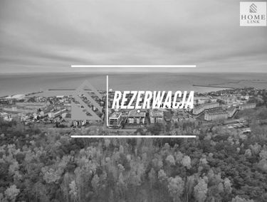 Zdjęcie 15167502
