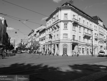 Zdjęcie 15168158