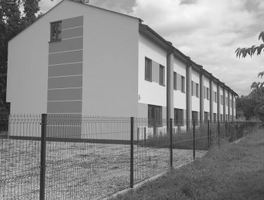 Zdjęcie 15168538