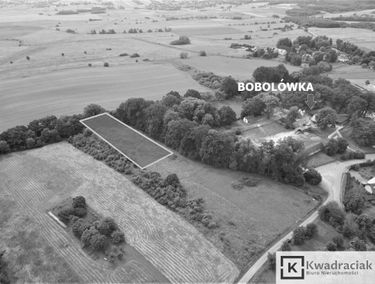 Zdjęcie 15168659