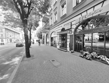 Zdjęcie 15168840