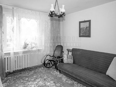 Zdjęcie 15169138