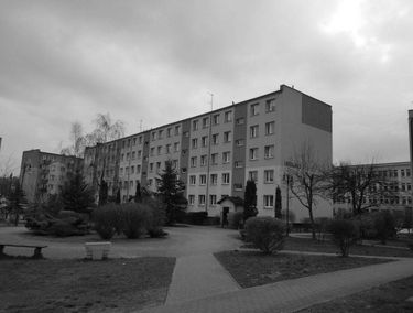 Zdjęcie 15169547