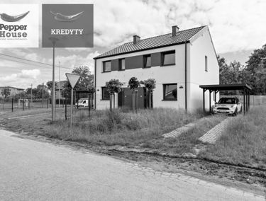 Zdjęcie 15169636