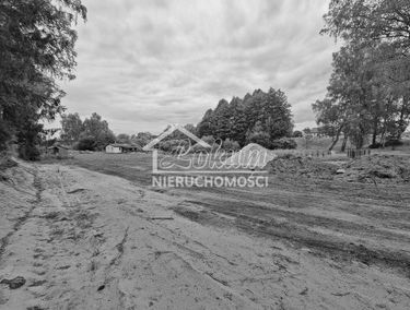 Zdjęcie 15169674
