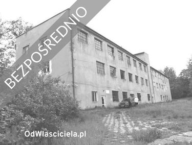 Zdjęcie 15169741