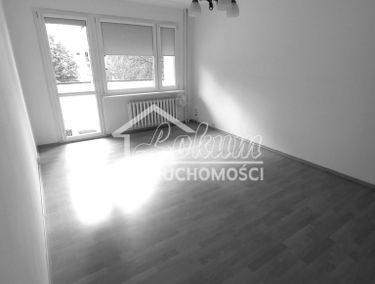 Zdjęcie 15169813
