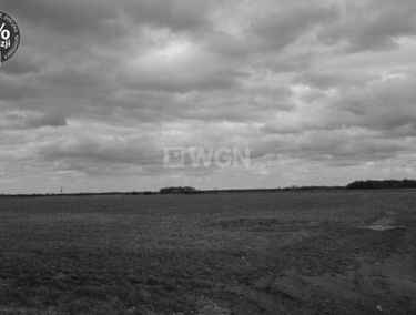 Zdjęcie 15169844