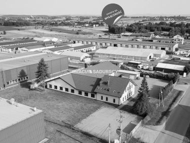 Zdjęcie 15170159