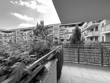 Zdjęcie 15170268