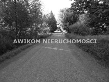 Zdjęcie 15170352