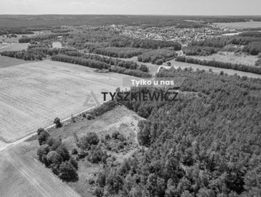 Zdjęcie 15170496