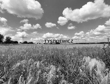 Zdjęcie 15170501