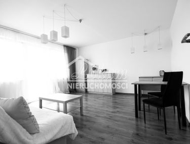 Zdjęcie 15170526