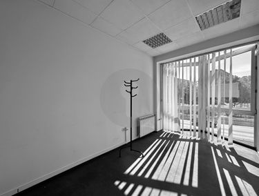 Zdjęcie 15170596