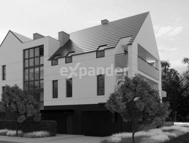 Zdjęcie 15170628