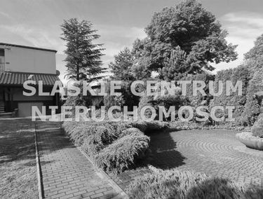 Zdjęcie 15170735