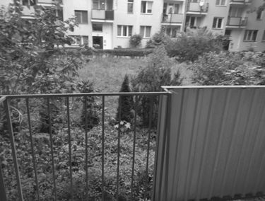 Zdjęcie 15170920