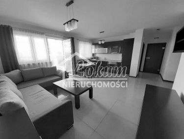 Zdjęcie 15171554
