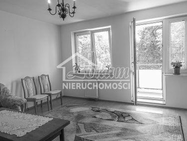 Zdjęcie 15172040