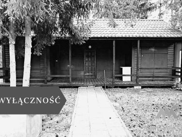 Zdjęcie 15173047