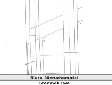 Zdjęcie 15173110