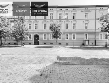 Zdjęcie 15173137